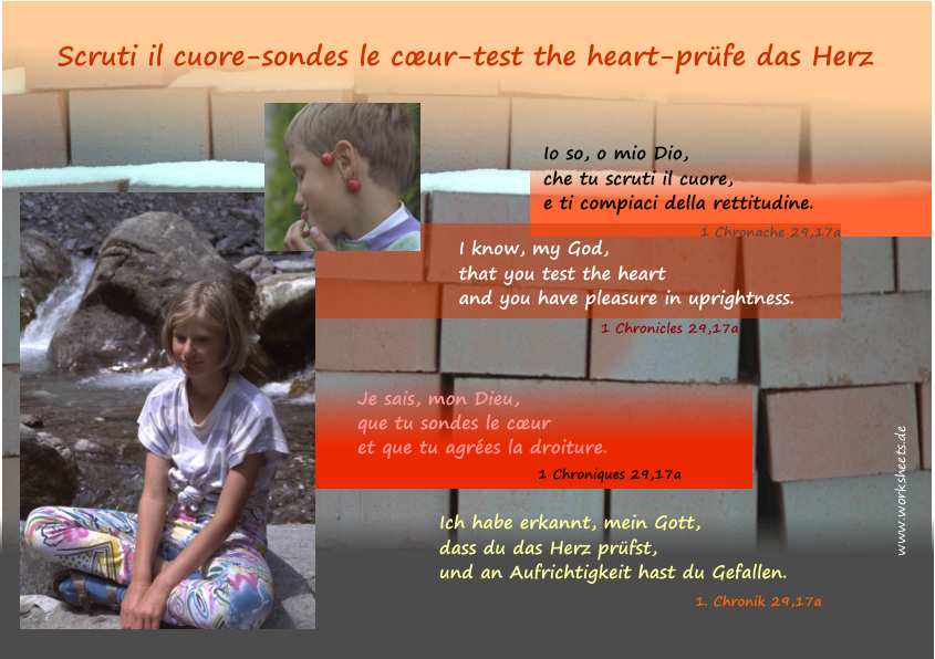 scruti ilcuore-sondes le coeur-test the heart-prfe das Herz1